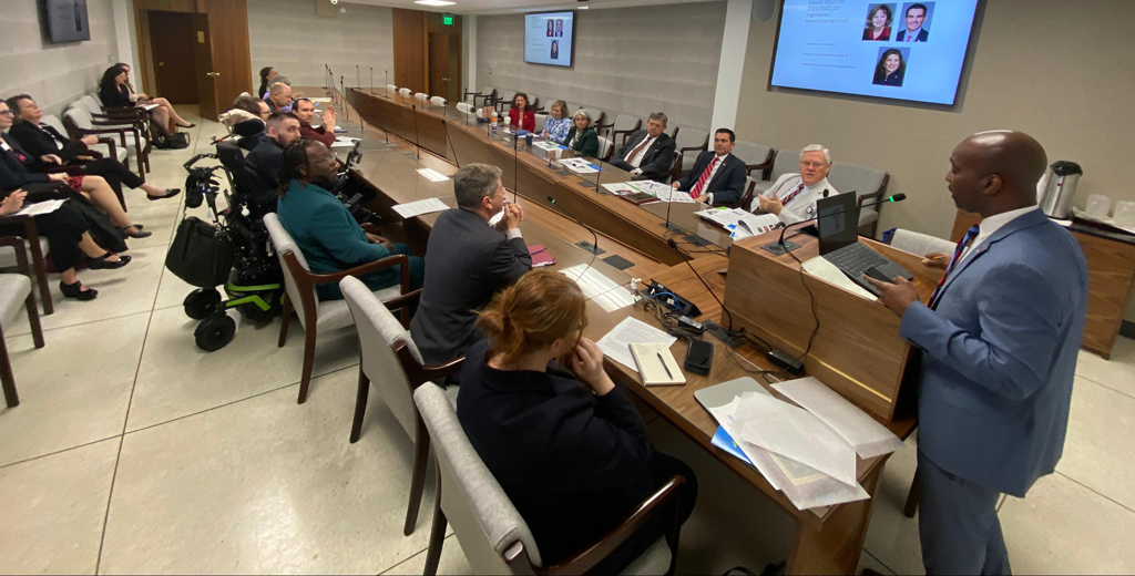 The group at the I/DD Caucus meeting