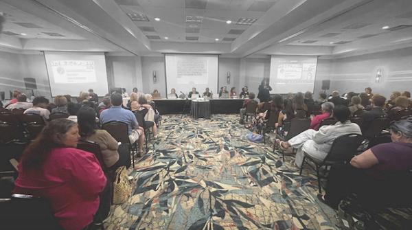 impact amply article